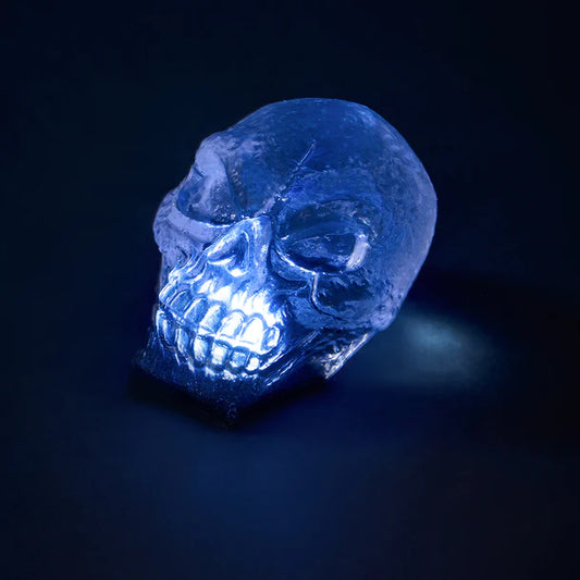 Clear Skull with Light Taba Squishy