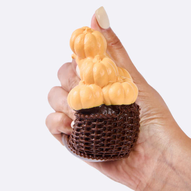 A Basket of Pumpkins Taba Squishy