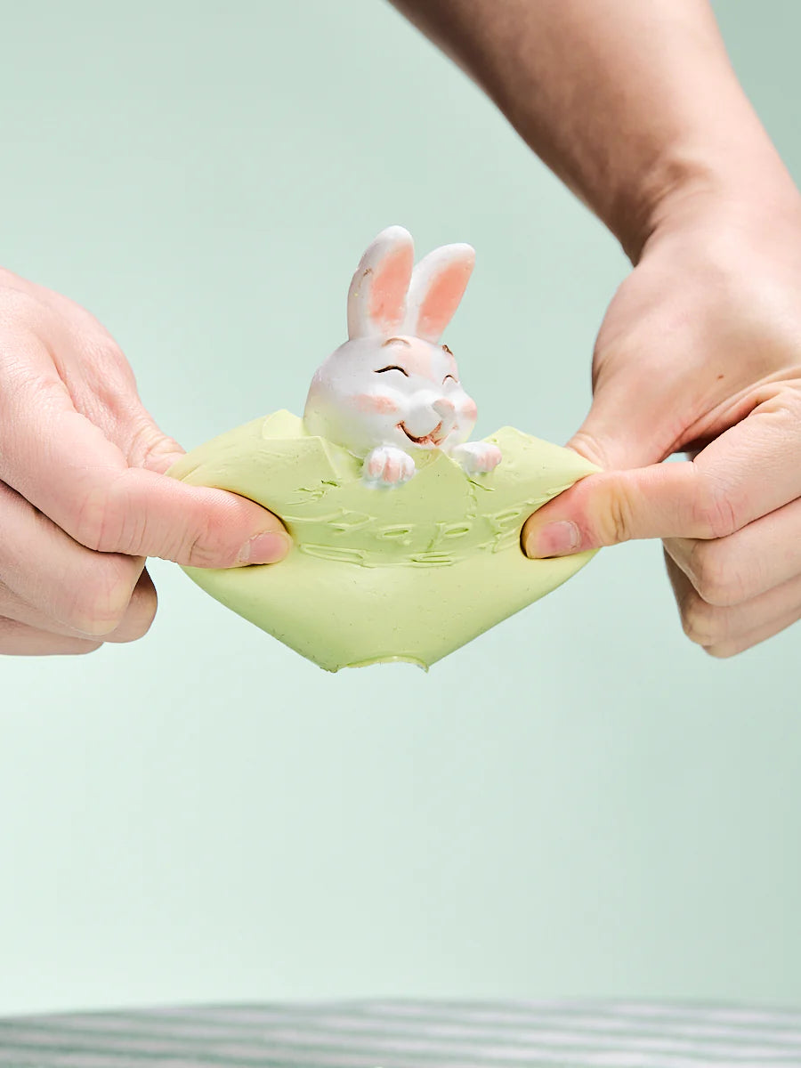 Bunny in Green Easter Egg Taba Squishy