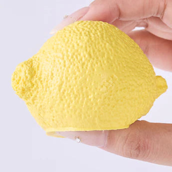 Lemon Taba Squishy