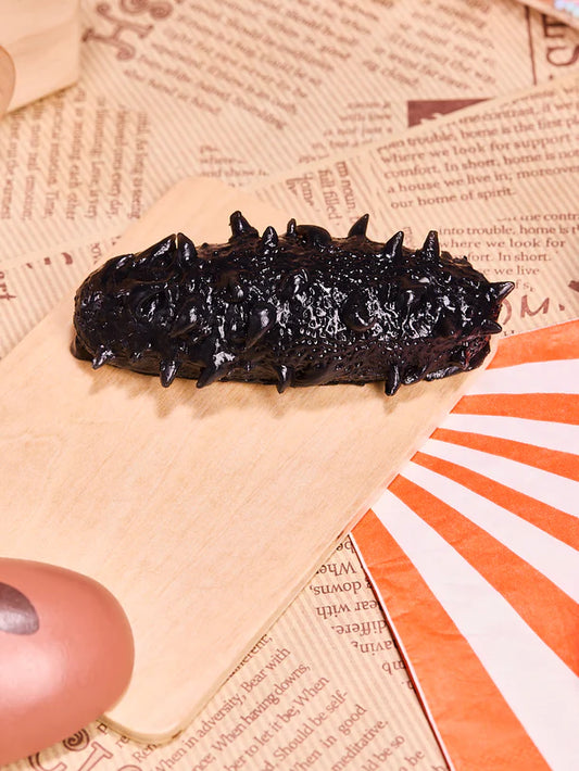 Black Sea Cucumber Squeeze Toys