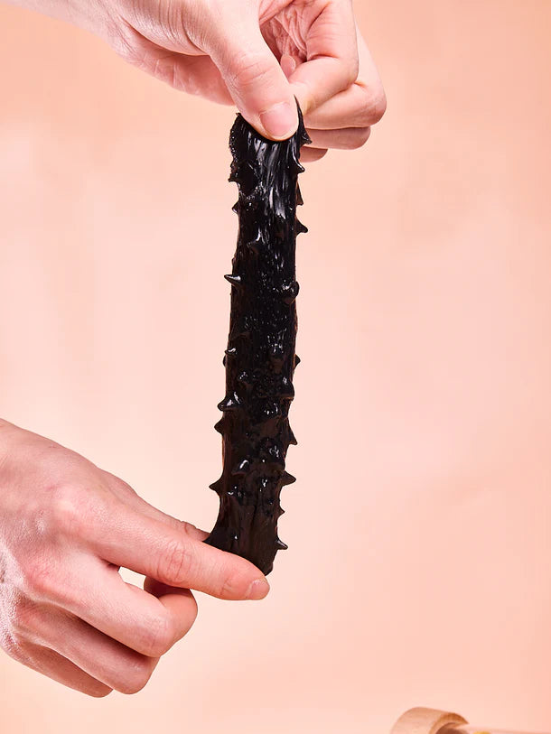 Black Sea Cucumber Squeeze Toys