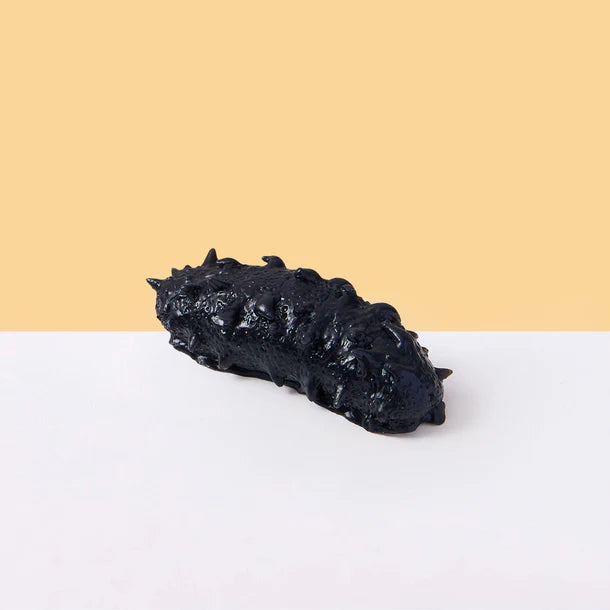 Black Sea Cucumber Squeeze Toys