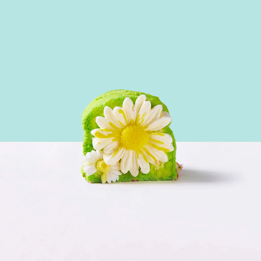Daisy Fresh Toast Taba Squishy