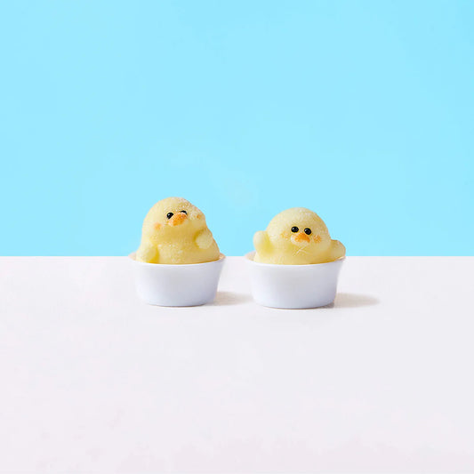 Flocked Mini Duck Set Taba Squishy