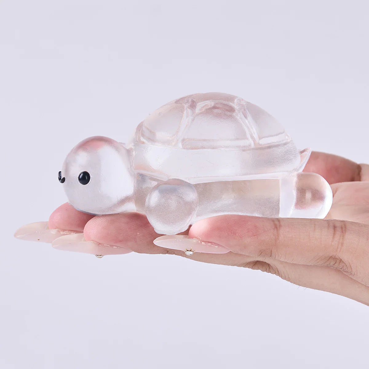 Transparent Turtle Taba Squishy