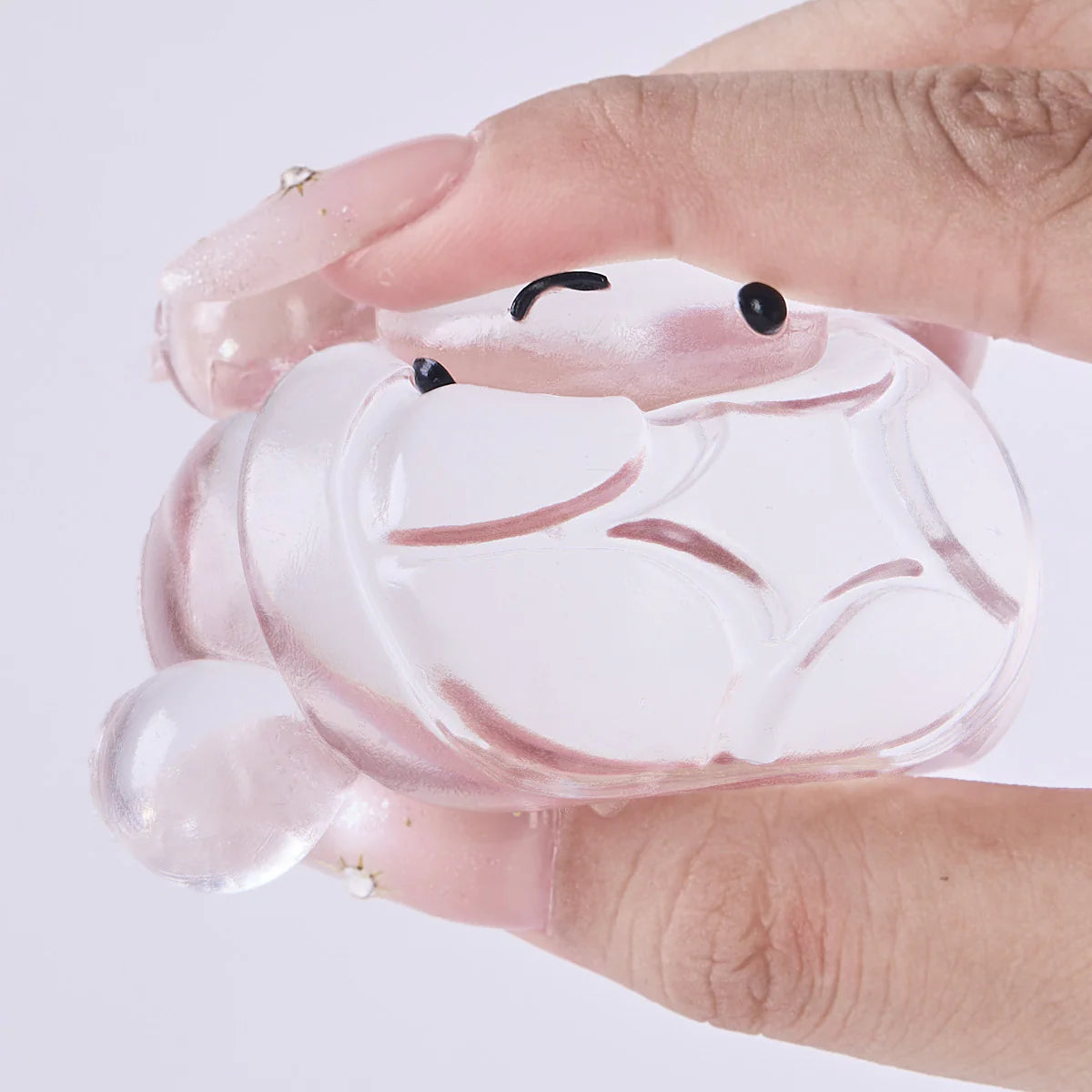 Transparent Turtle Taba Squishy