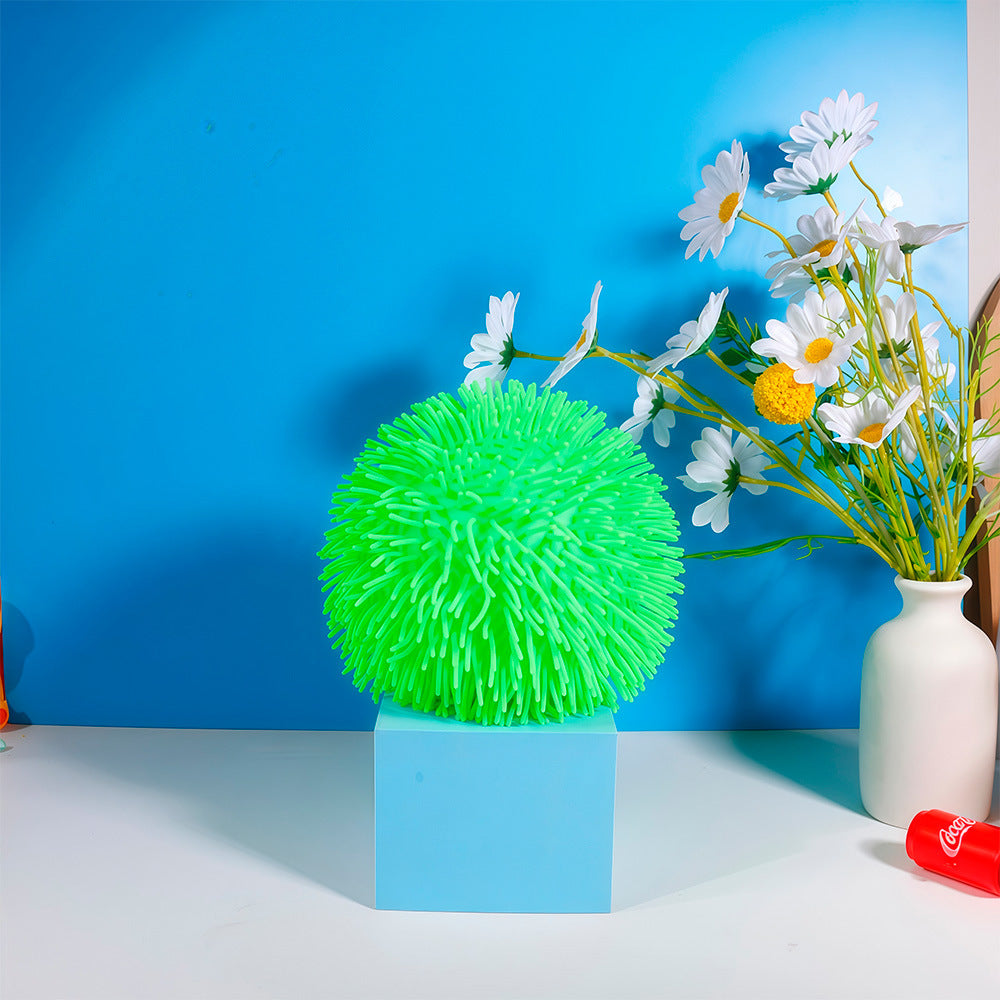 Prickly Ball Taba Squishy