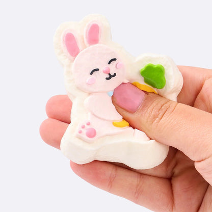 Pink Rabbit Holding Carrot