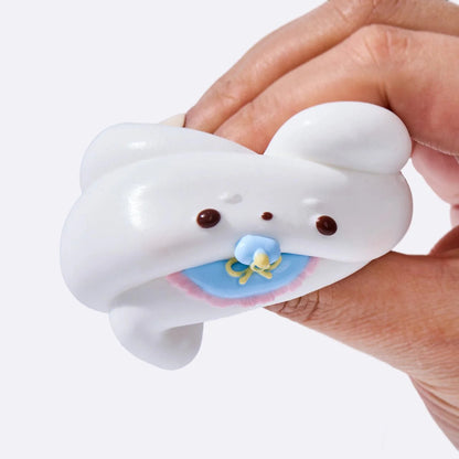 Bunny with Pacifier