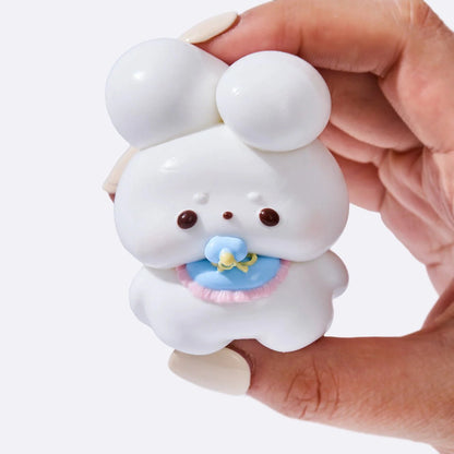 Bunny with Pacifier