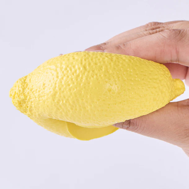 Lemon Taba Squishy