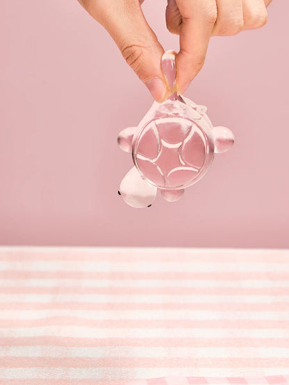 Transparent Turtle Taba Squishy