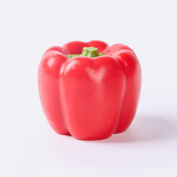 Red Bell Pepper Taba Squishy